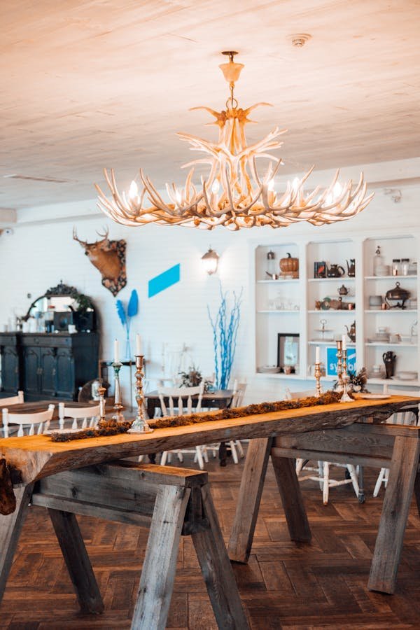 Le lustre bois de cerf : un éclat au cœur de votre déco