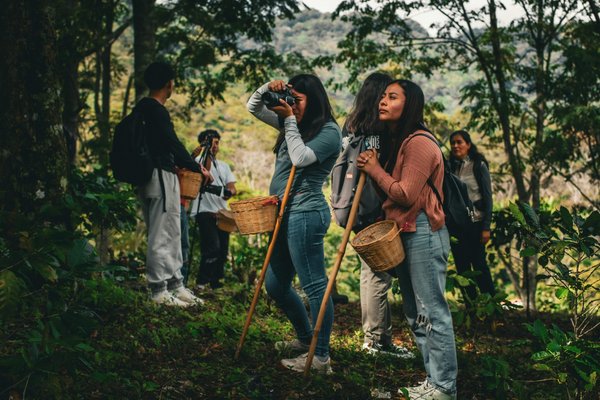 Découvrez pourquoi les gourdes souples sont indispensables en plein air