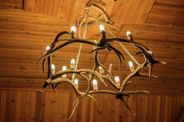 Style votre intérieur avec un lustre bois de cerf éclatant