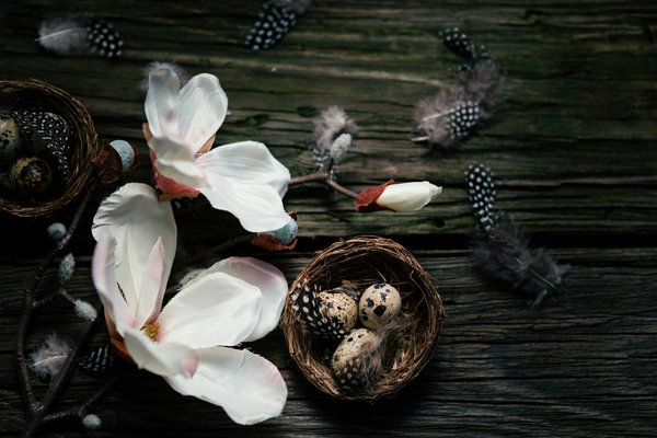 Maison deco travaux : astuces pour un intérieur réussi